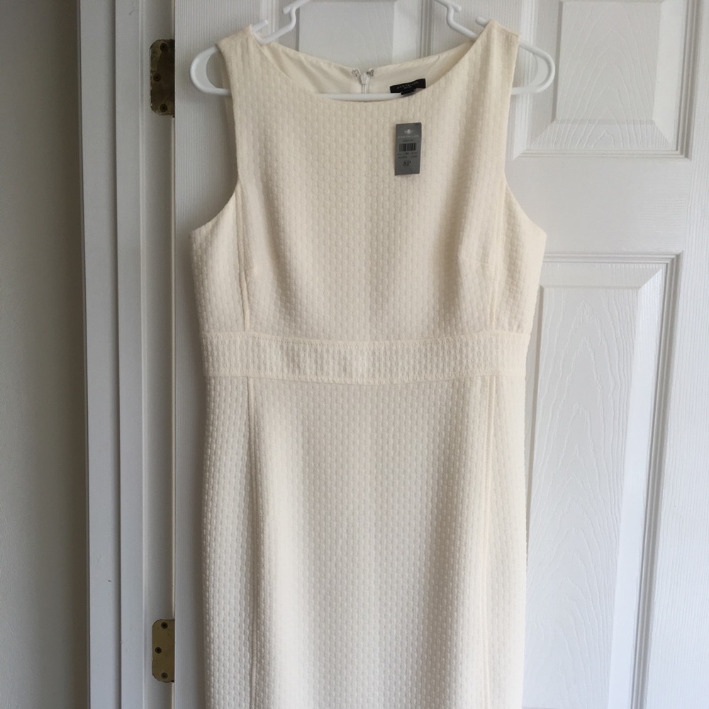 Woman’s Ann Taylor size 8